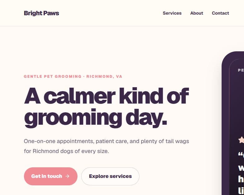 Bright Paws concept website homepage
